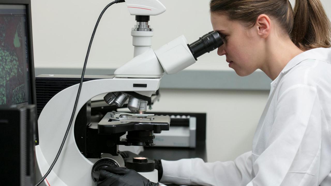 Resources for Researchers | Facilities Management