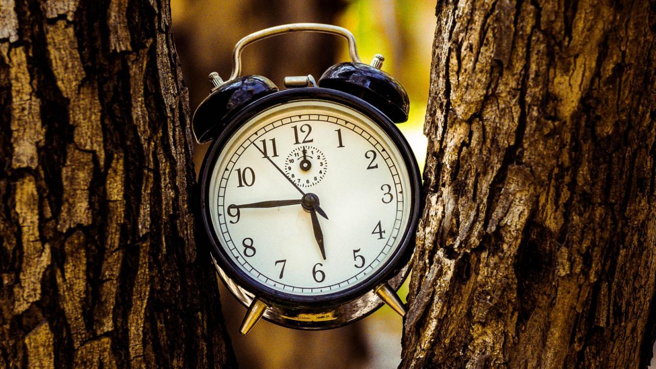 Экологические часы это. Wealth Clock