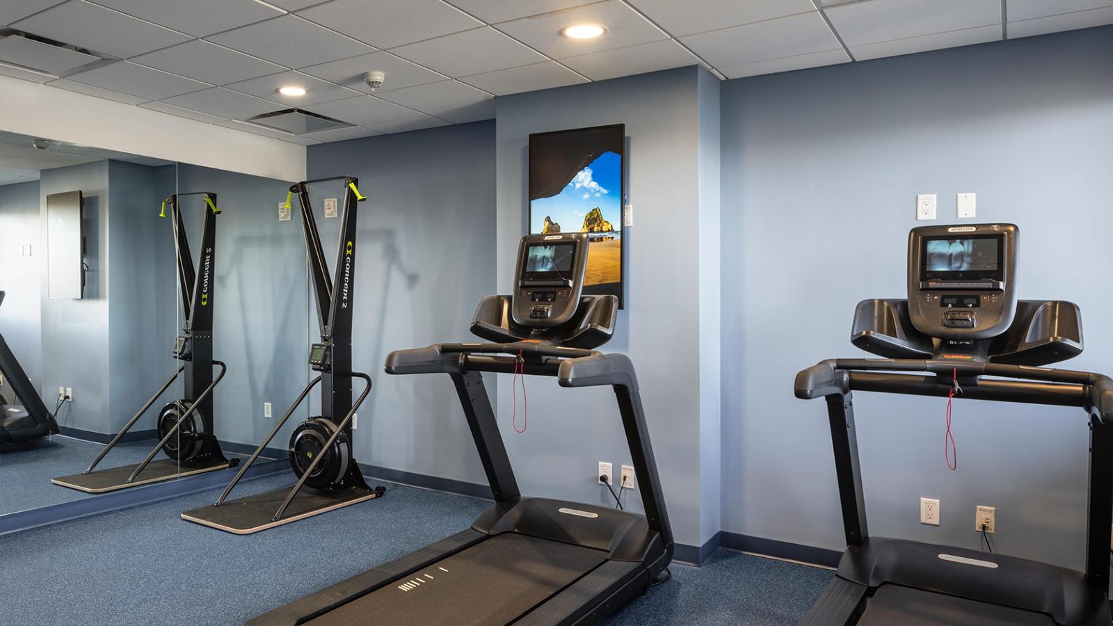 One SkiErg machine and two treadmills are on a blue floor with a mirror wall located to the left of the machines