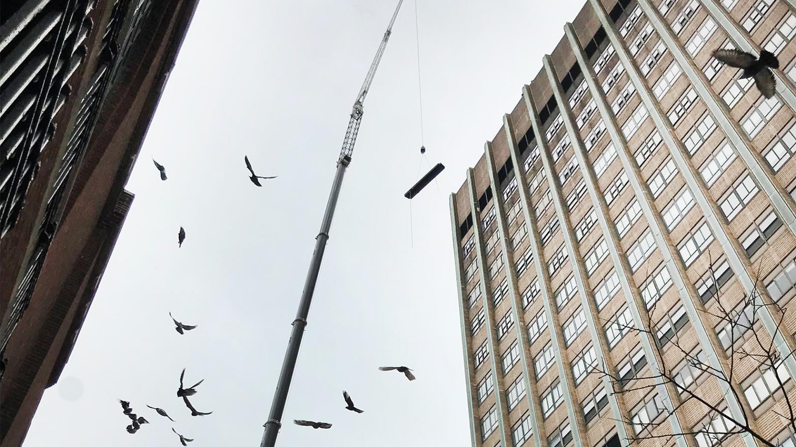 crane delivering equipment to roof of william black equipment
