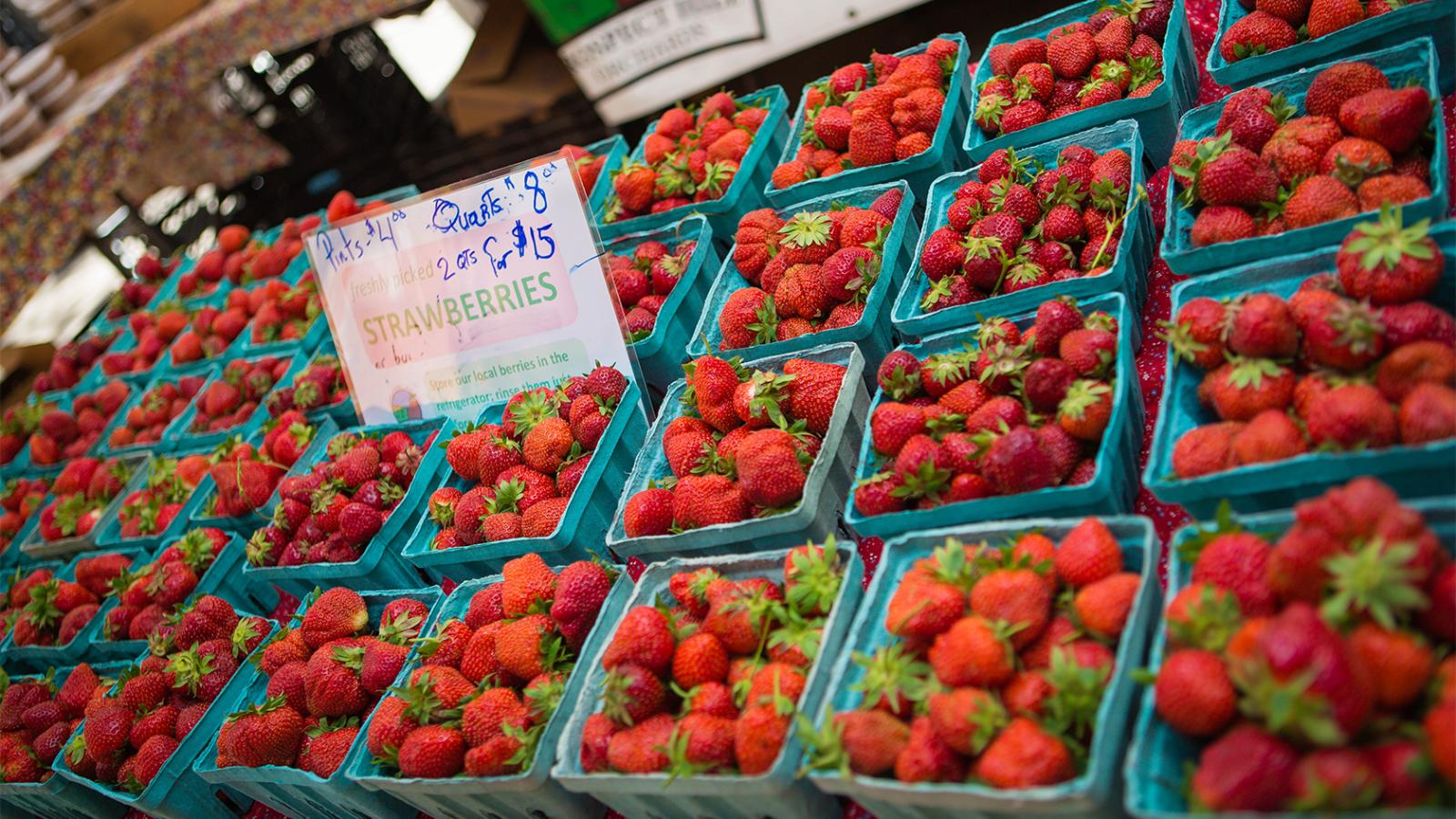 An array of strawberries