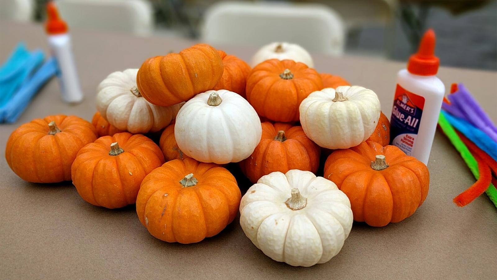 A pile of small pumpkins