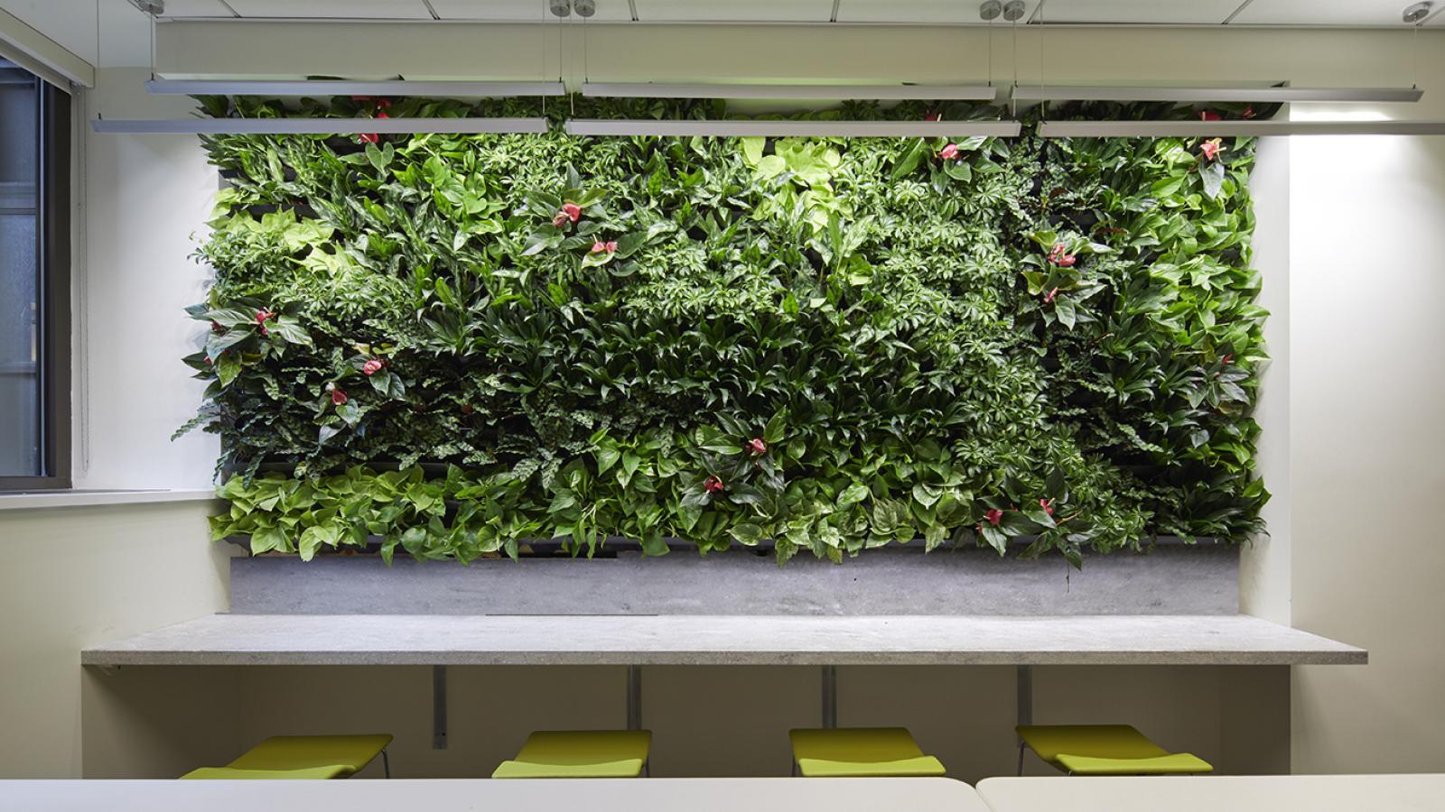 A living wall located above a bar with green stools