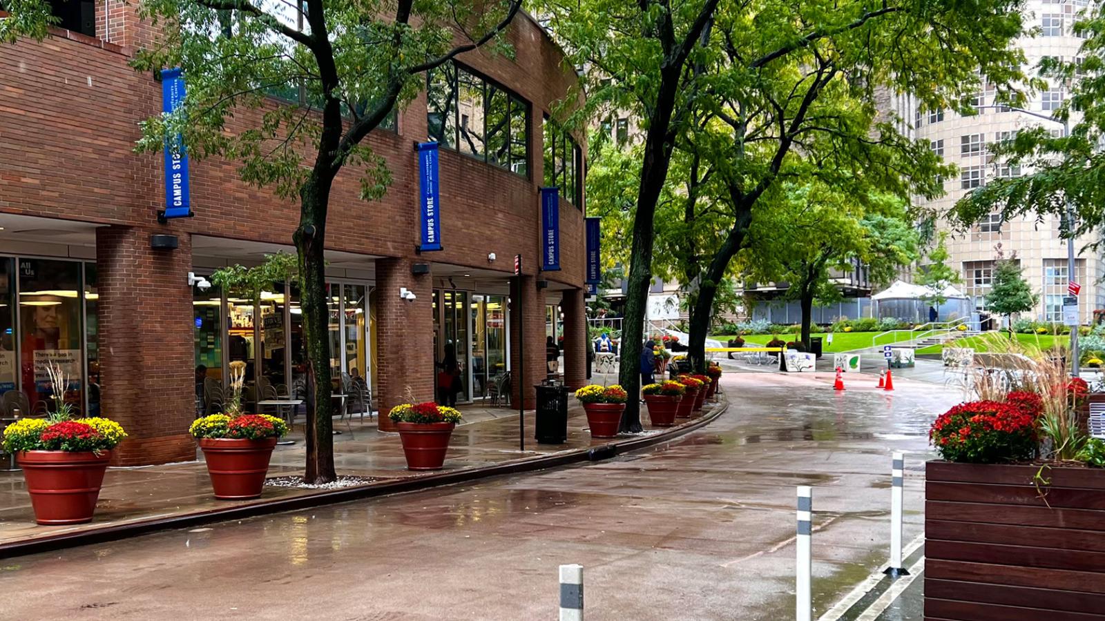 Haven Plaza throughway with planters and fall colors.