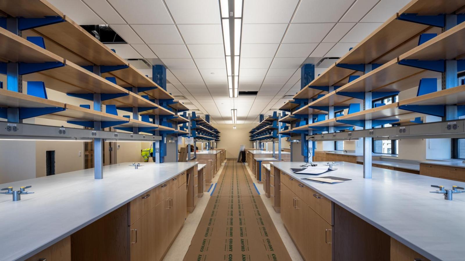 A renovated laboratory featuring multiple empty lab bences