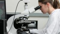 researcher looking into a microscope